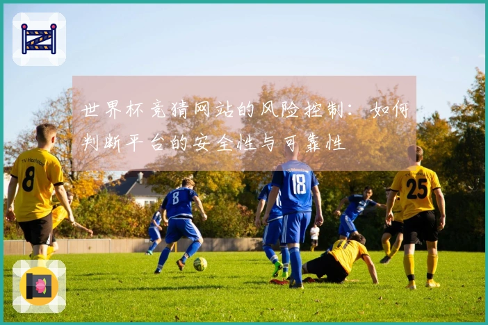 世界杯竞猜网站的风险控制：如何判断平台的安全性与可靠性