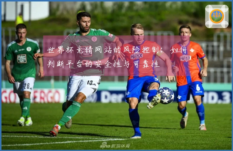 世界杯竞猜网站的风险控制：如何判断平台的安全性与可靠性