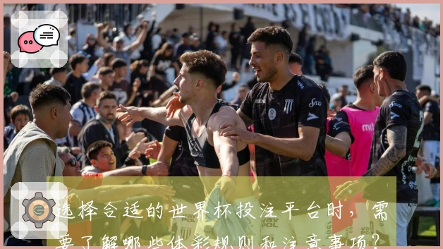 选择合适的世界杯投注平台时，需要了解哪些体彩规则和注意事项？