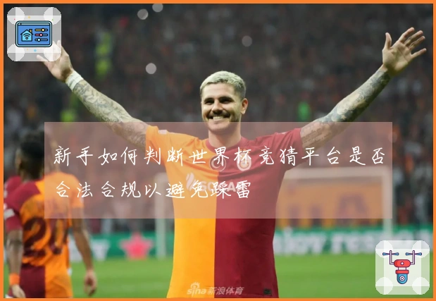新手如何判断世界杯竞猜平台是否合法合规以避免踩雷