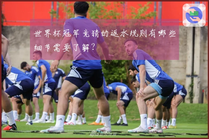 世界杯冠军竞猜的返水规则有哪些细节需要了解？