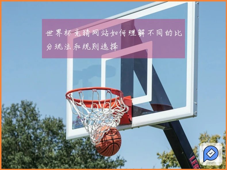 世界杯竞猜网站如何理解不同的比分玩法和规则选择